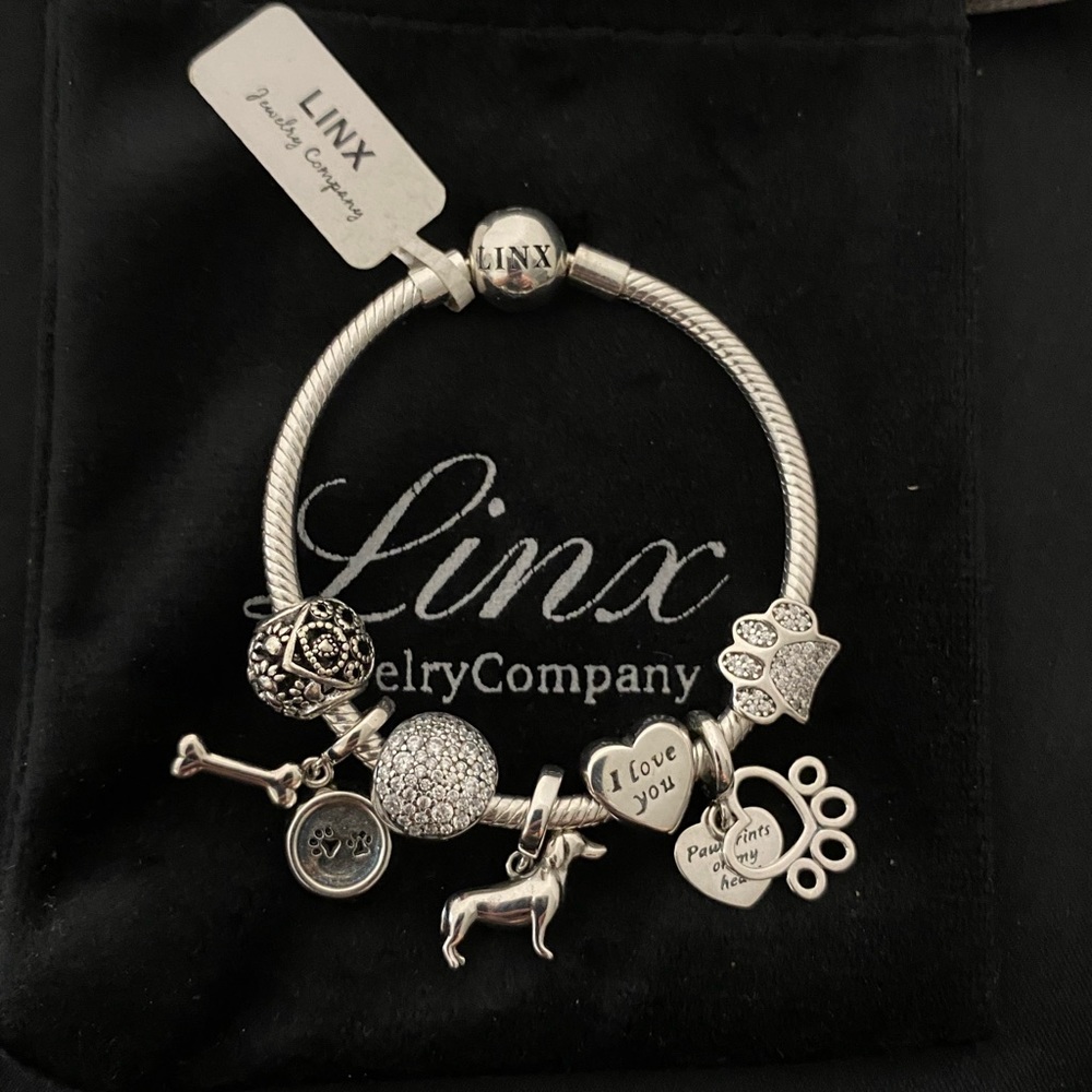 Linx Snake Chain Bracelet with Dachshund Weenie Dog Themed Charms